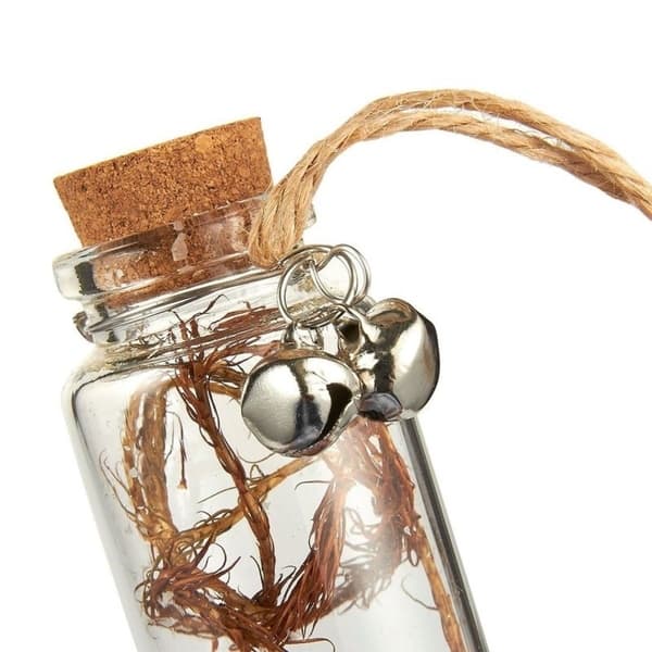 6-Pack Mini Glass Bottles with Cork Lids and Jute String