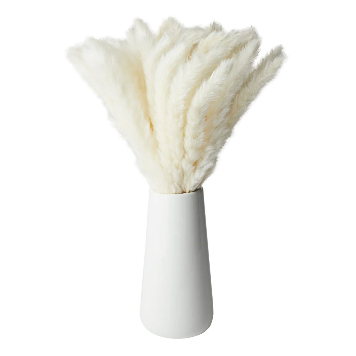 40-Pack Dried White Pampas Grass with Ceramic Vase