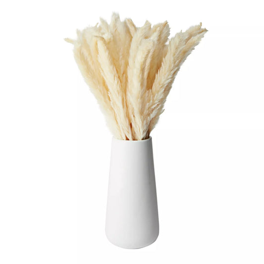 40x Natural Dried Pampas Grass with White Ceramic Vase