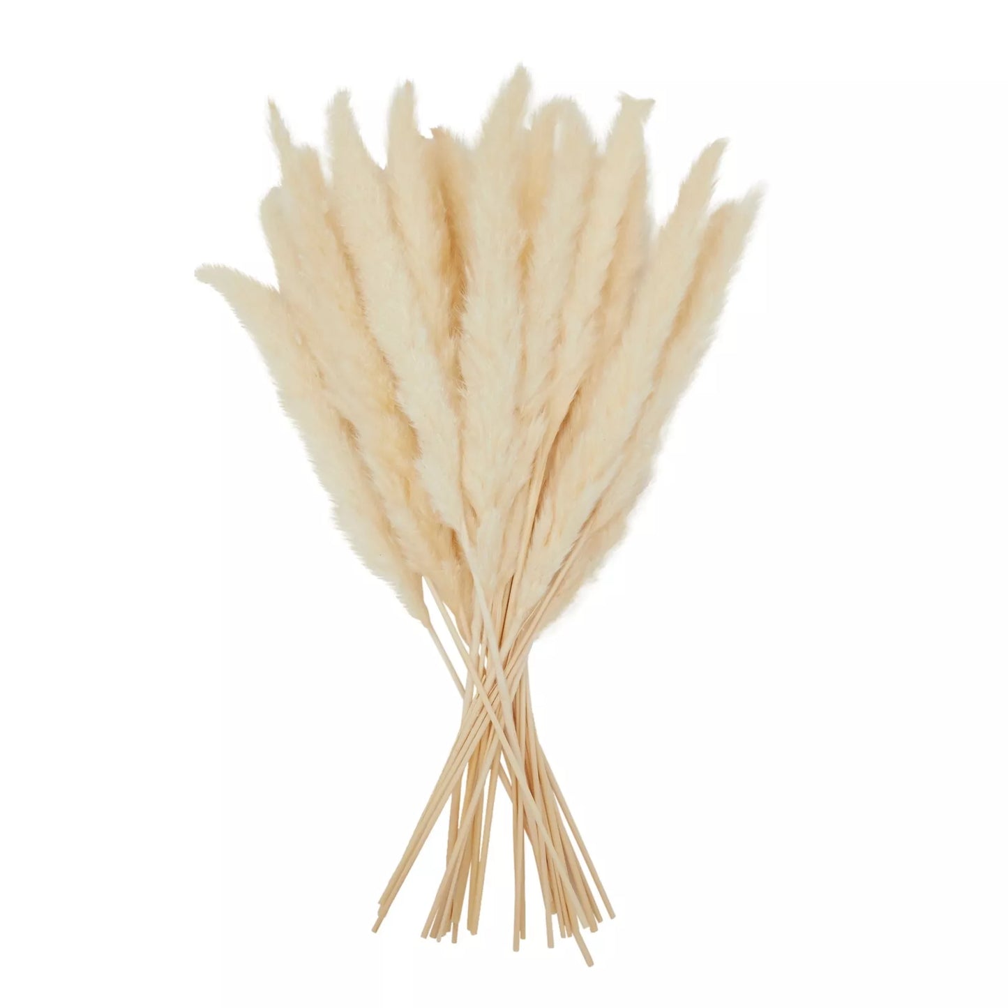 30 Pack 17” Artificial Dried White Pampas Grass