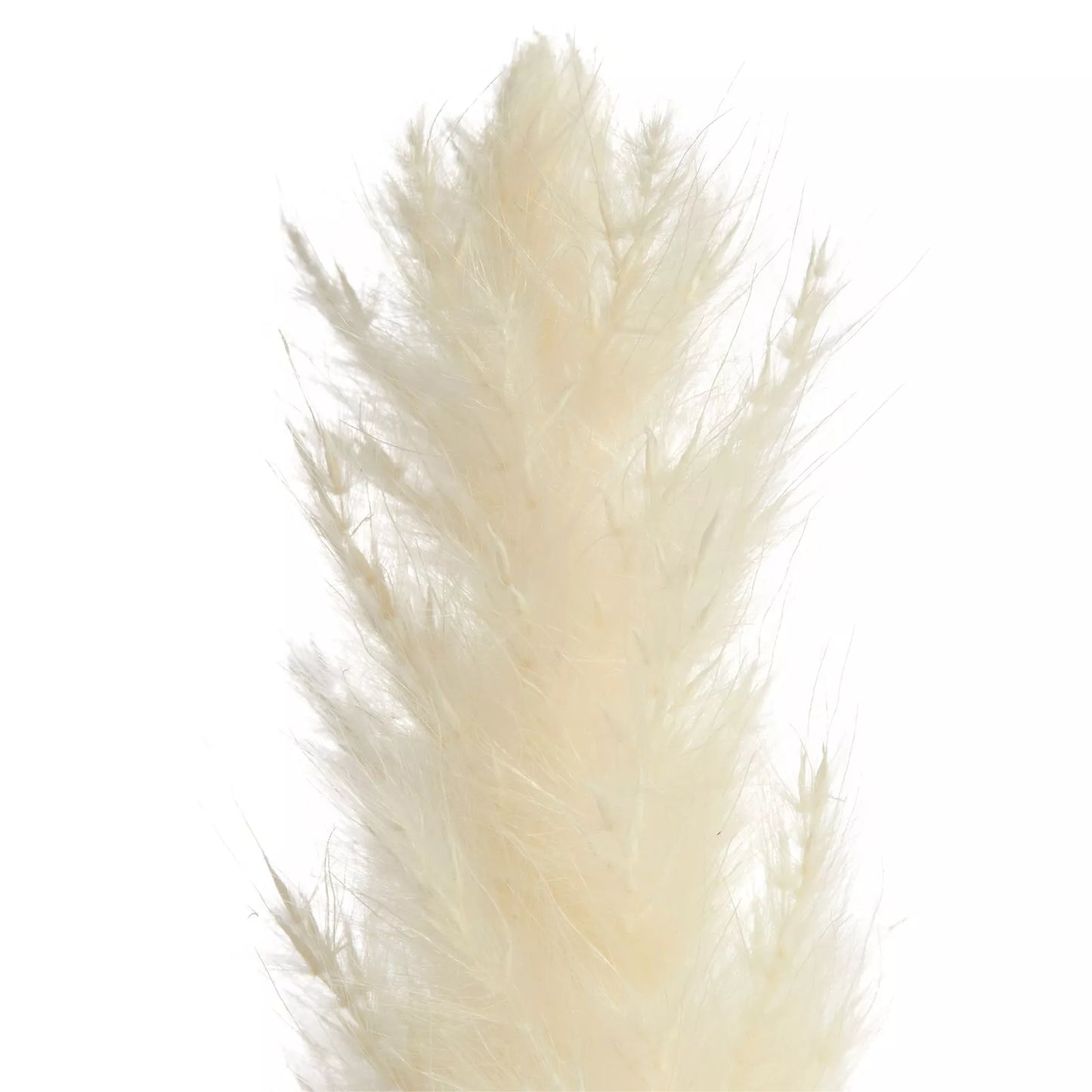 30 Pack 17” Artificial Dried White Pampas Grass