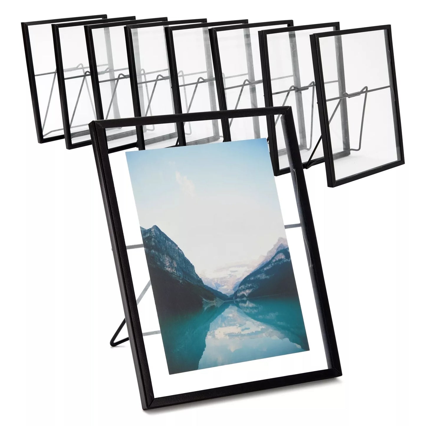 8 Pack Glass Floating Photo Frames with Black Pressed Flowers