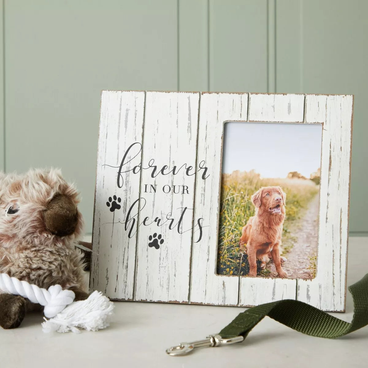 Wooden Pet Memorial Picture Frame, White, 9.5x7.9-Inch