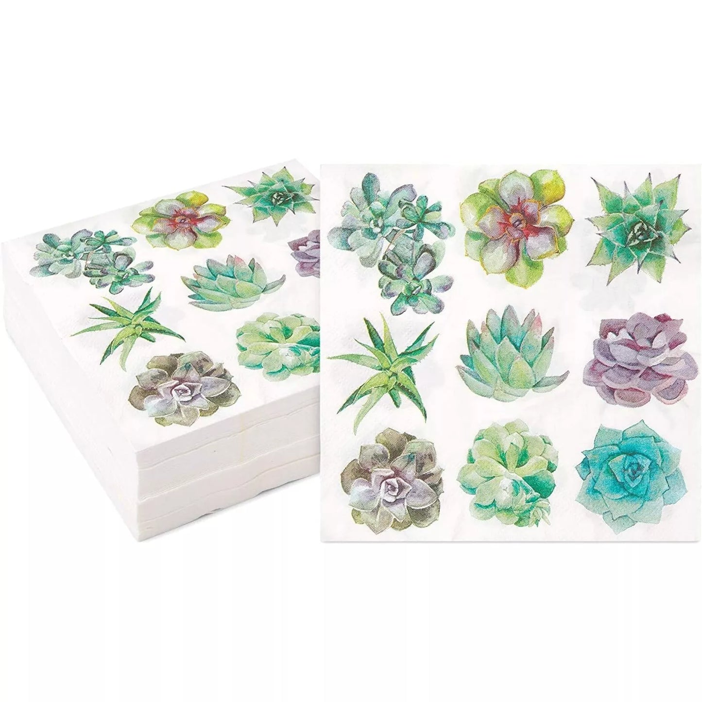 Succulent Paper Napkins for Birthday Party (6.5 In, 100 Pack)