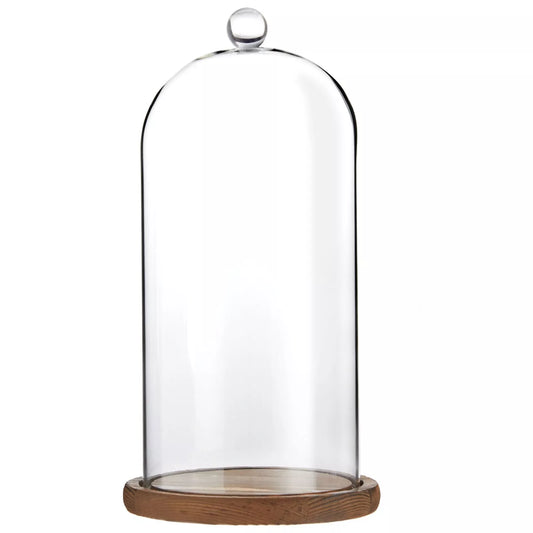 11-Inch Cloche Glass Dome with Base For Plants, Food, and Candles