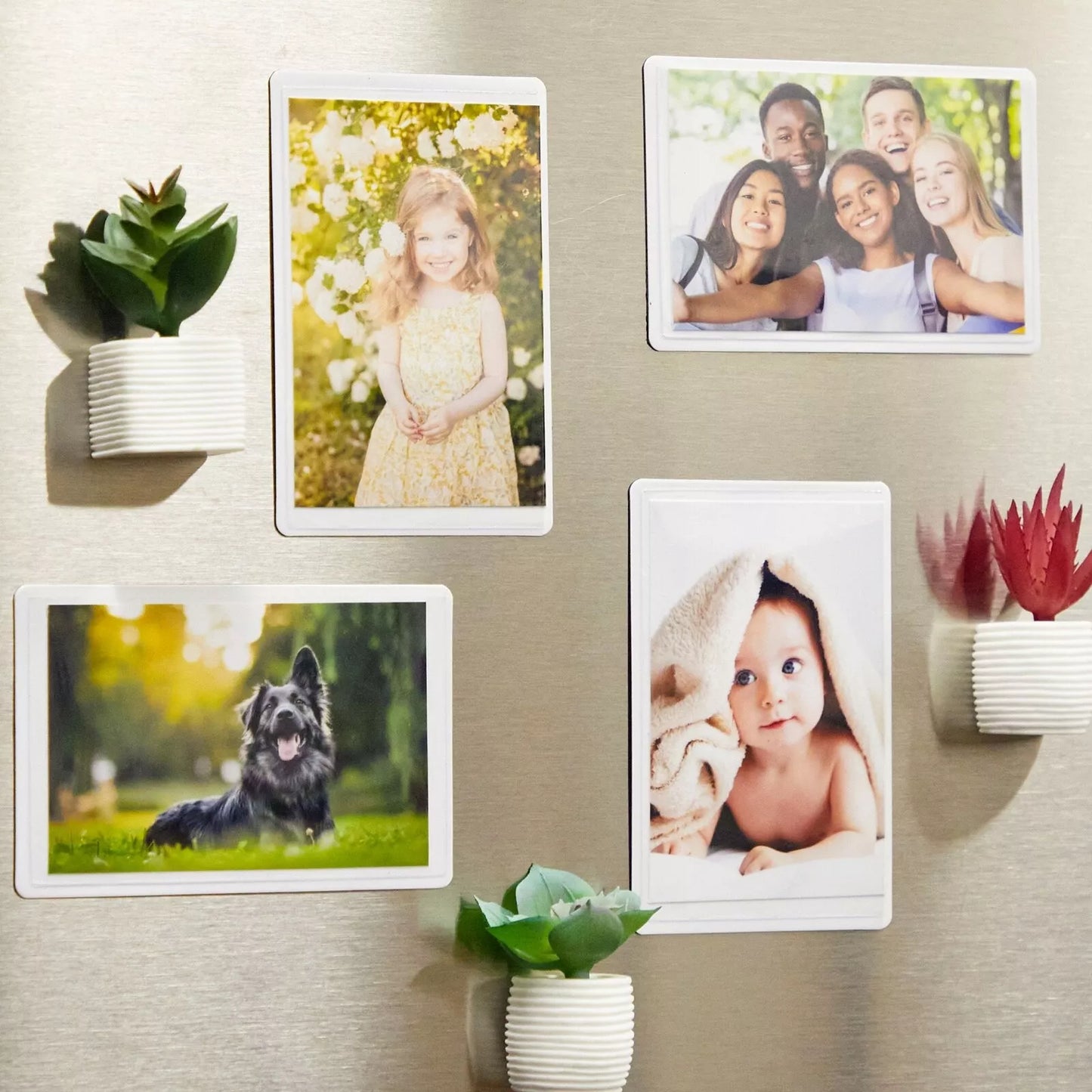 24-Pack 2x3 Magnetic Picture Frames