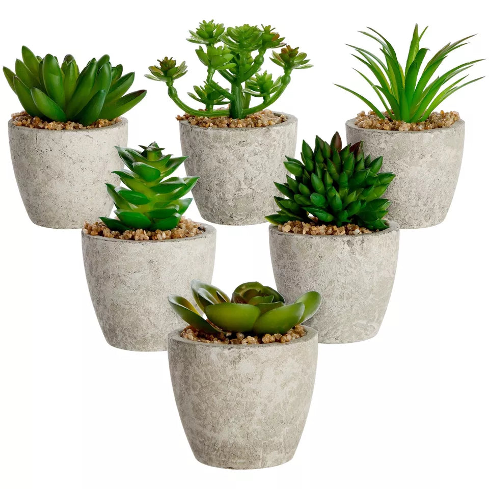 6-Pack Mini Faux Succulent Plant Pots