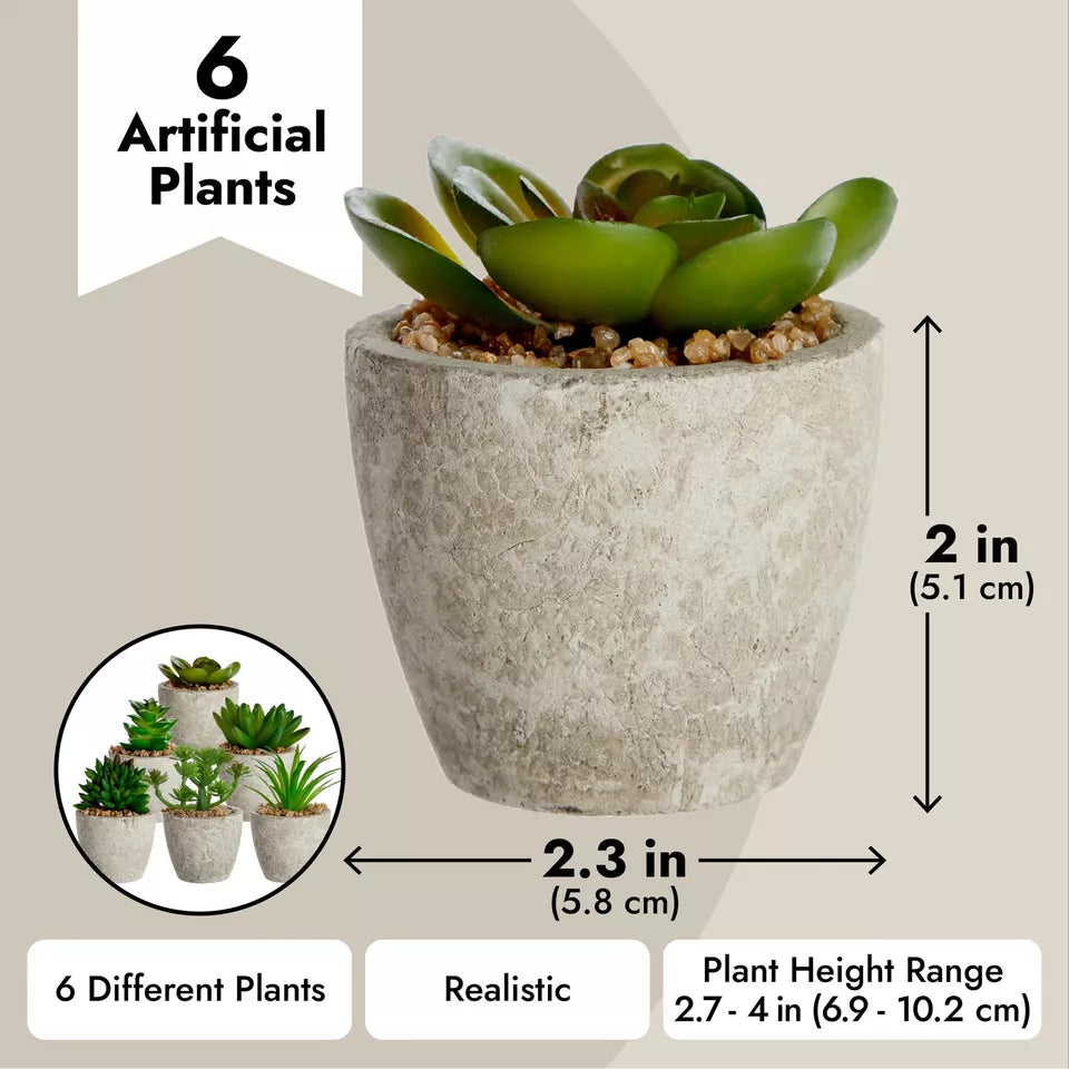 6-Pack Mini Faux Succulent Plant Pots